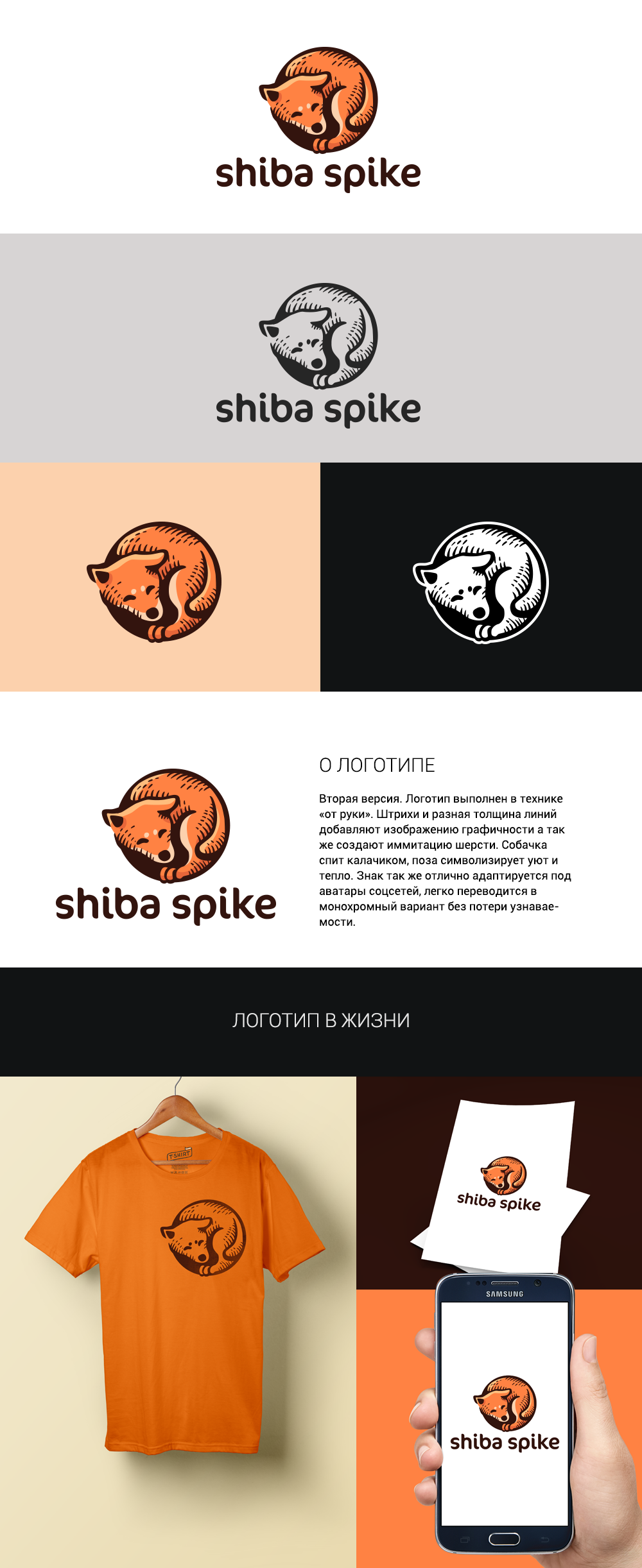 presentation 2.png