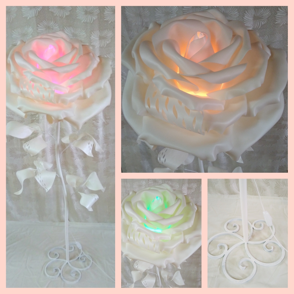 CollageMaker_20190409_220803311.jpg