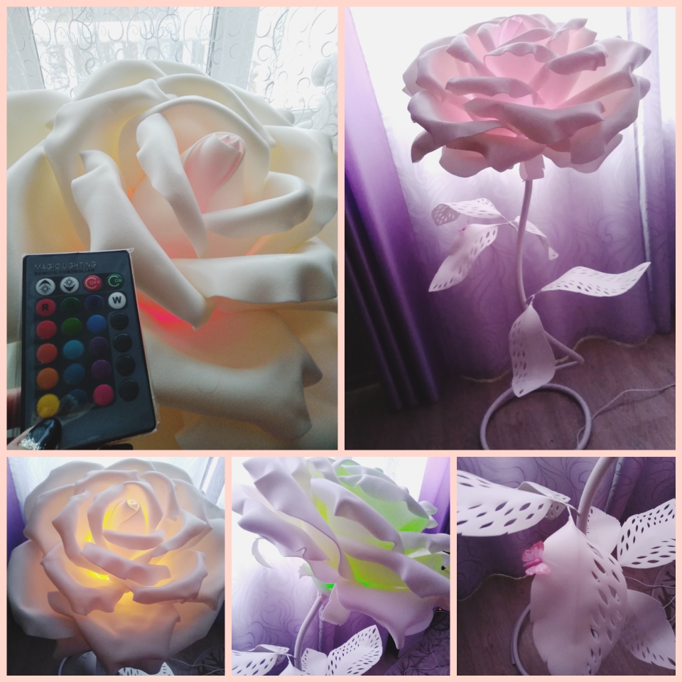 CollageMaker_20190130_110132948.jpg