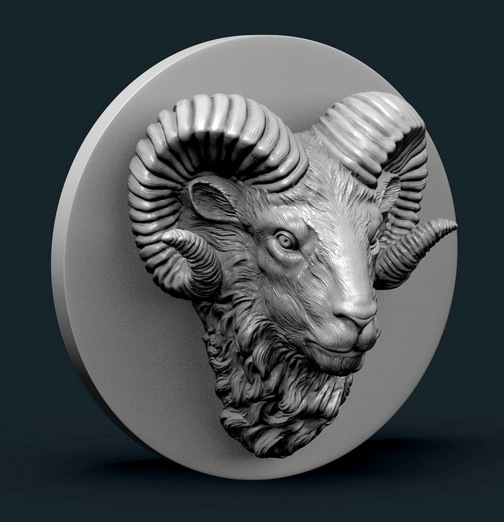 Ram_head_5.jpg