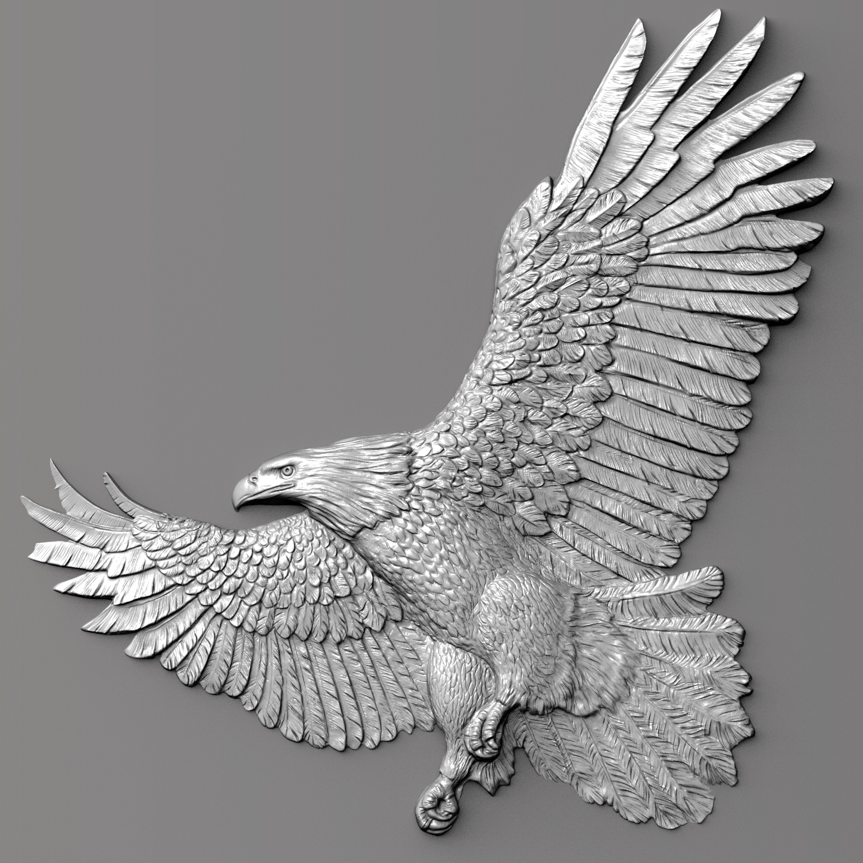 BR_Bald Eagle2.jpg