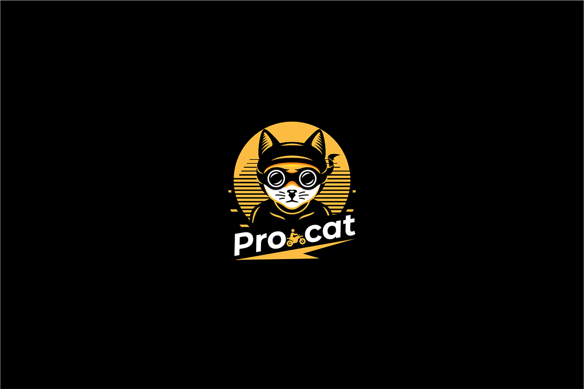 PROCAT 3.png
