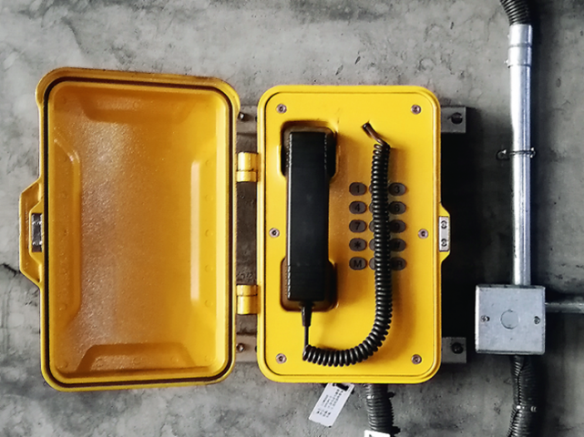Termit Public Phone. Презентация