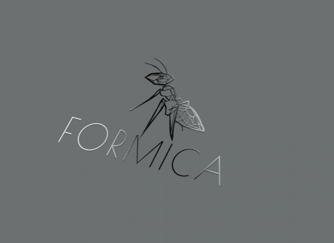Логотип для одежды Formica. Брендинг