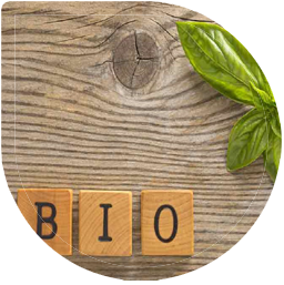 Biotoilet