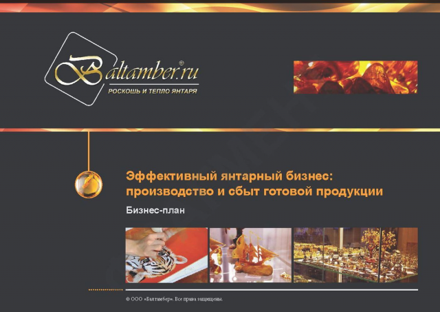 Бизнес-план в виде презентации