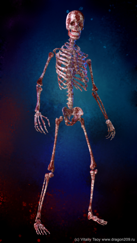 Т-801