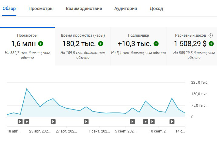 Результат работы на YouTube канала-партнера за последний месяц
