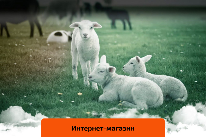 Магазин изделий из овчины «Oldsheep»