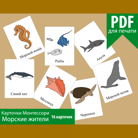 Обучающие карточки "Морские жители"