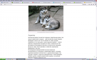 Цикл статей о породах собак