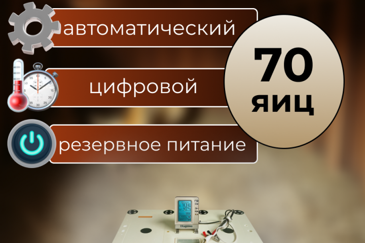 Инкубатор