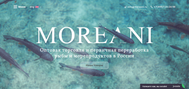 Адаптивный сайт компании Moreani