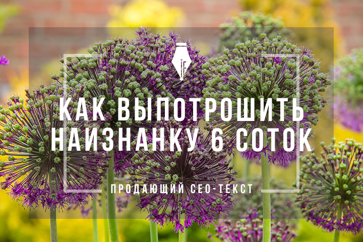 Сео-текст для компании, занимающейся ландшафтным дизайном