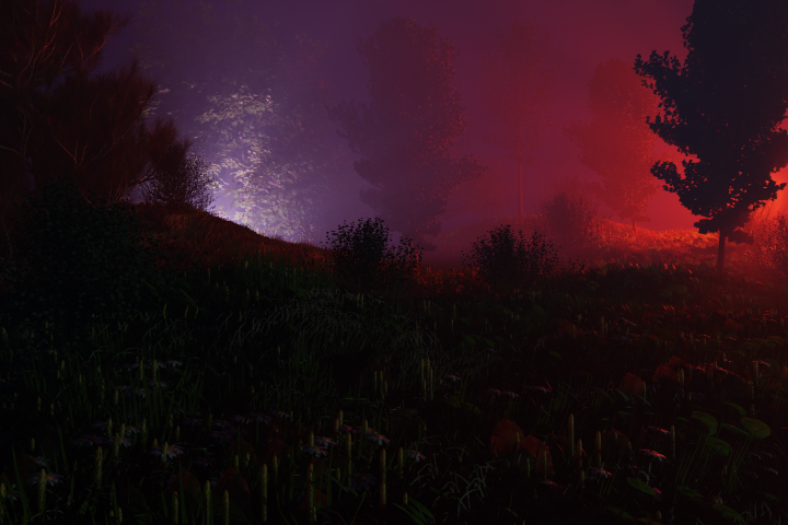 forest