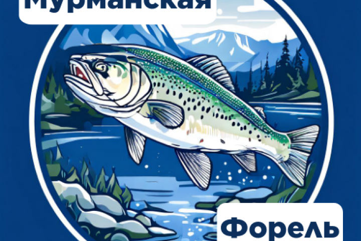 Мурманская форель -2