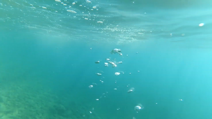 Ungerwater2