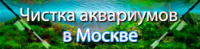 Баннер