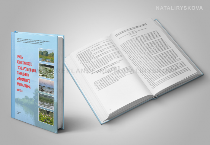 Верстка книги 312 страниц
