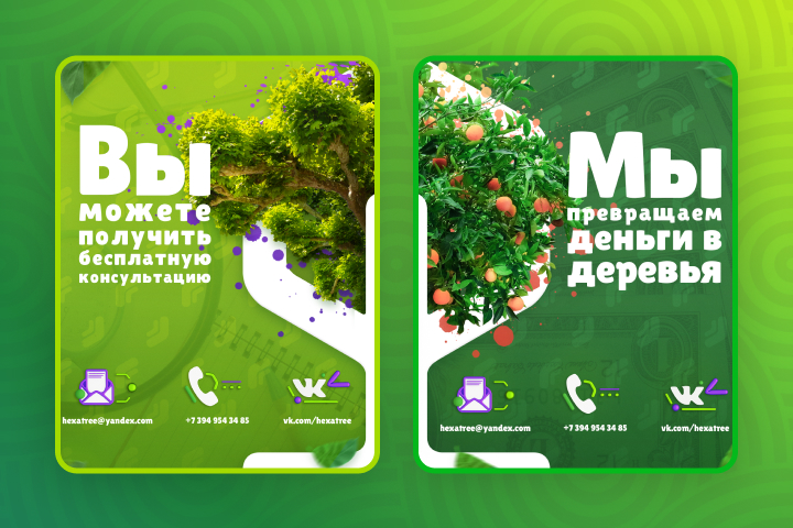 Баннеры «Hexatree»