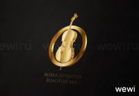 Симфонический оркестр Aurea Juventus Золотой Век.