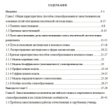Дипломная работа: Английские компоненты в современном немецком словообразовании