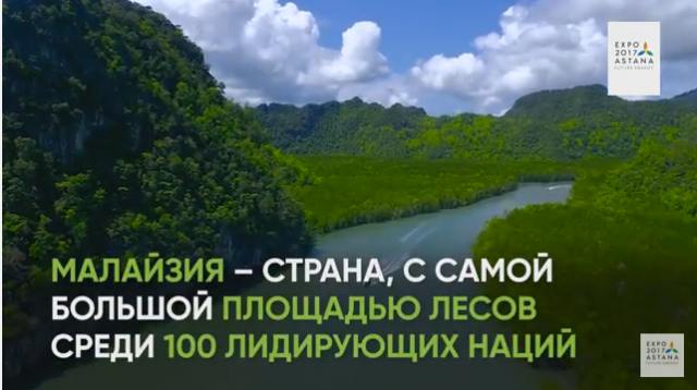 Сценарий ролика для павильона Малайзии на EXPO 2017