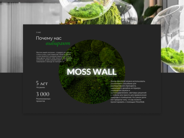 Moss Wall | Интерьеры из стабилизированного мха