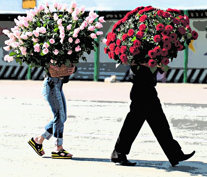 pic3529672.jpg