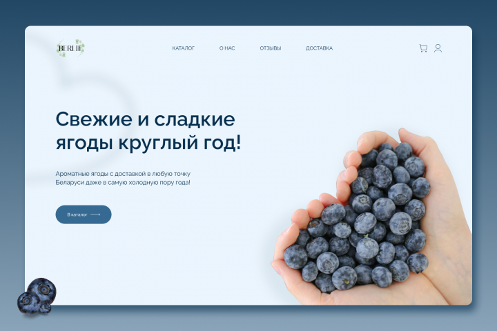 Дизайн-концепт | Магазин свежих ягод