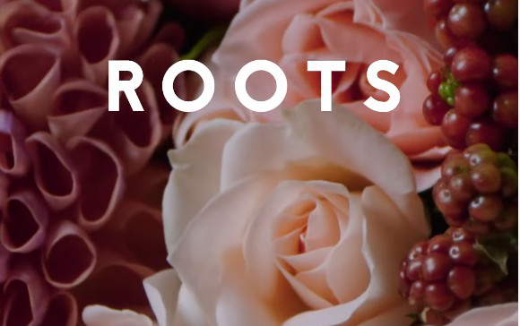 Цветы Roots