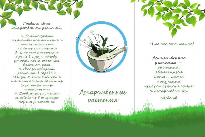 буклет