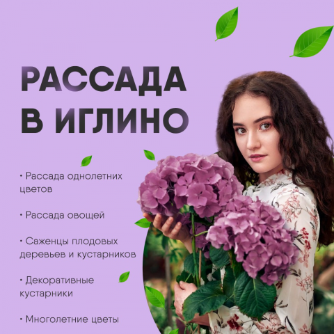 Креативы для таргетированной рекламы