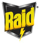 Промо-сайт Raid
