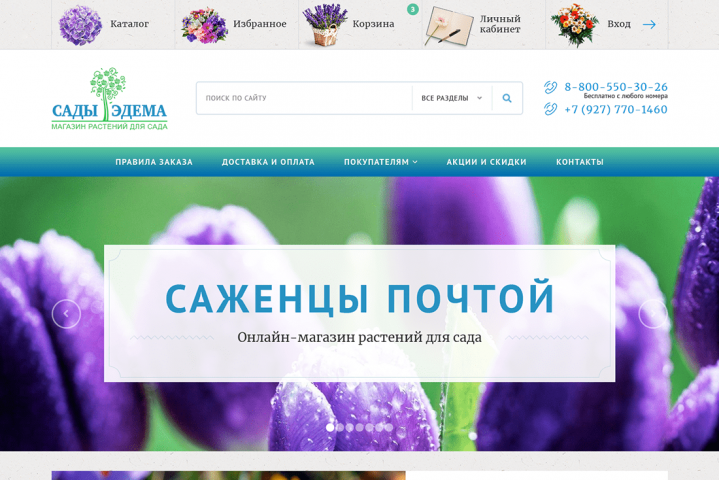 Онлайн-магазин частной коллекции растений «Сады Эдема»