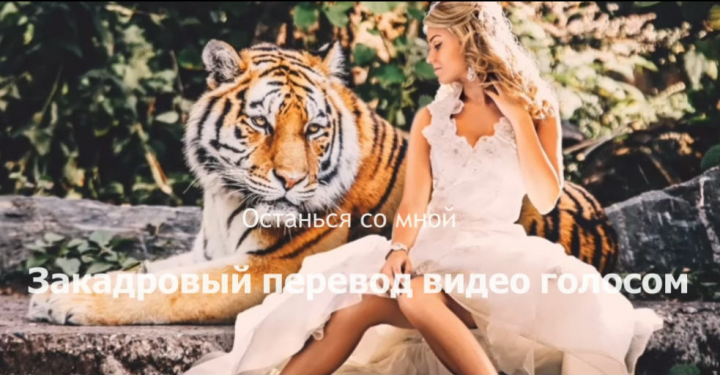 Закадровый перевод видео