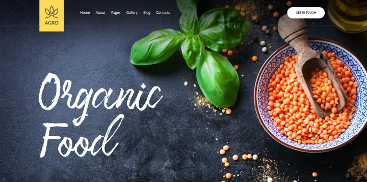 Organic food