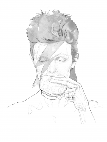 david