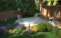 In the garden