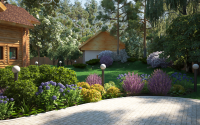 In the garden