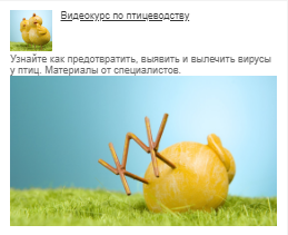 С MyTarget