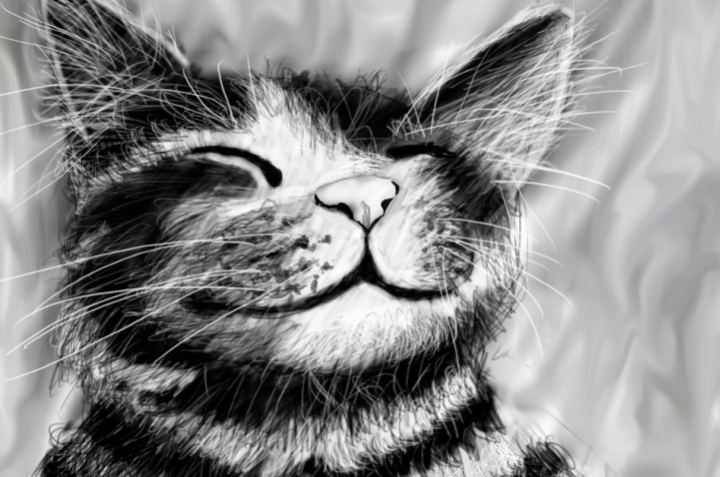 Рисунок кот