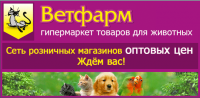 Пример баннера на старт или финиш заставки справочника 2ГИС