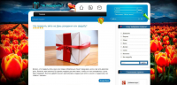 Копирайт для сайта http://shoppodarki.com