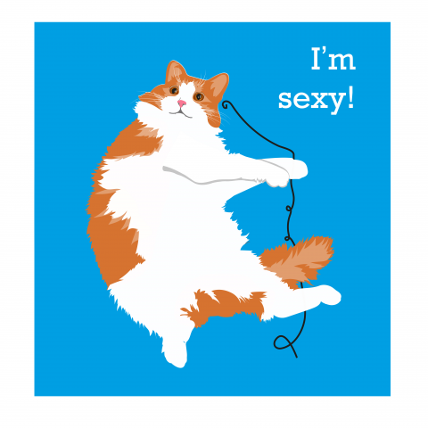 Котик