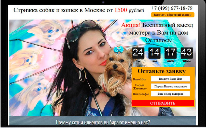 Стрижка собак