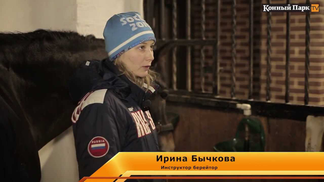 Как устроена конюшня?