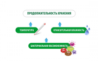 Работа 2373596