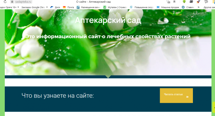 Многостраничный сайт на WordPress