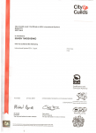 English ESOL International Spoken - уровень C1 (Expert)